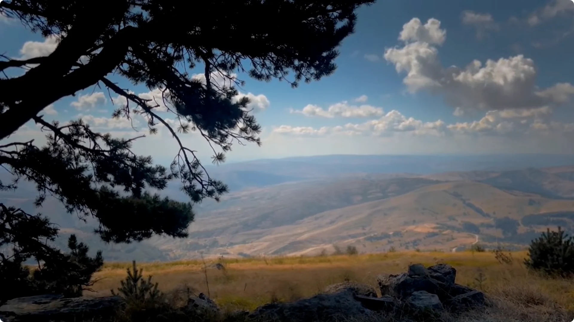 Kling AI: Swap, Add, or Delete Anything in Your Videos screenshot 15